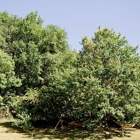 La Grange, Maison Familiale De Luxe Avec 4 Dans Le Tarn-et-garonne *