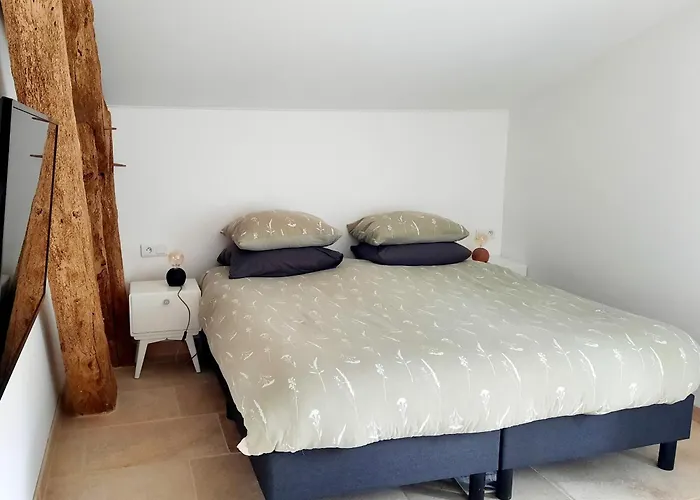 La Grange, Maison Familiale De Luxe Avec 4 Dans Le Tarn-et-garonne Touffailles